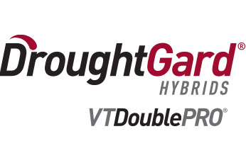 DroughtGard® Hybrids